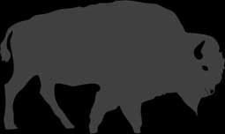 Icy Bison logo