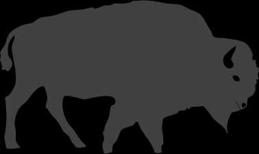 Icy Bison logo